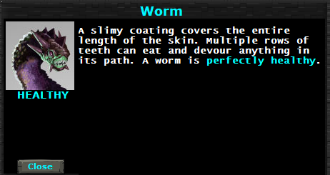 Worm